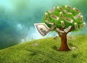 cash, money, wealth, assets, money plant, money, money, money, money, money